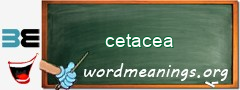 WordMeaning blackboard for cetacea